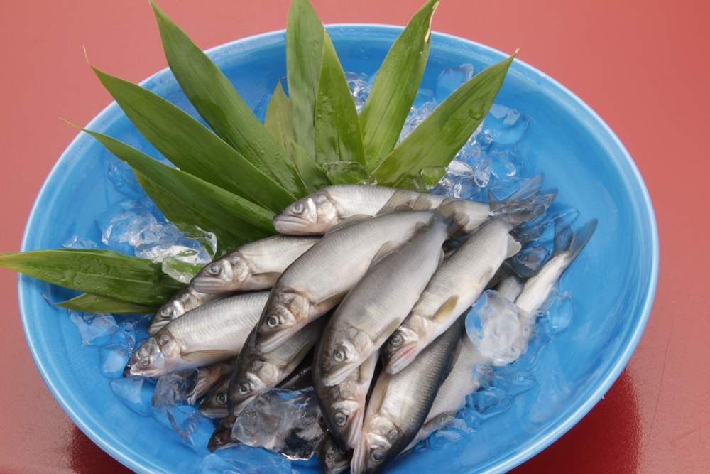 日本料理うまいもの・うまい酒の夕べ（満員御礼）